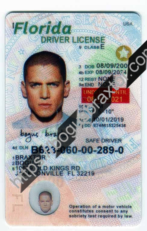 florida fake id law