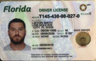 florida fake id law