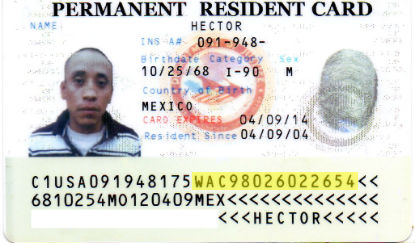 good fake id examples