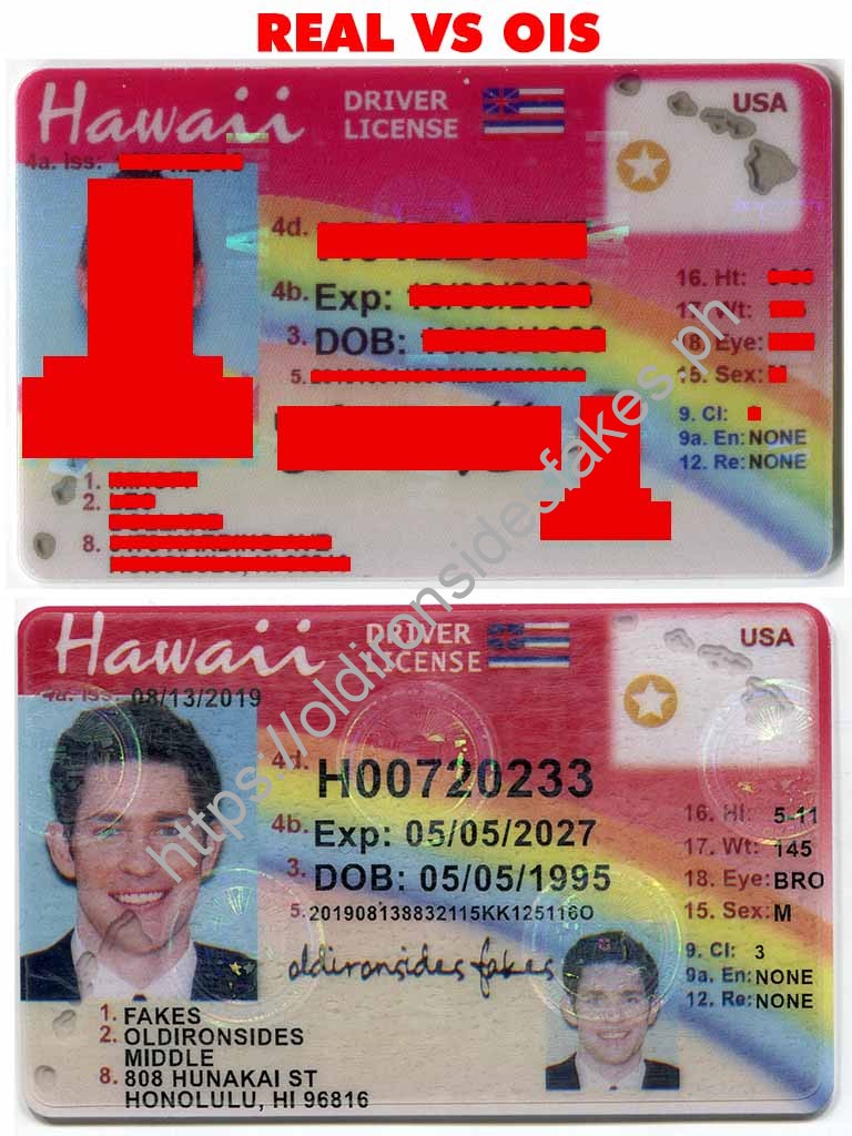 Hawaii Scannable fake id