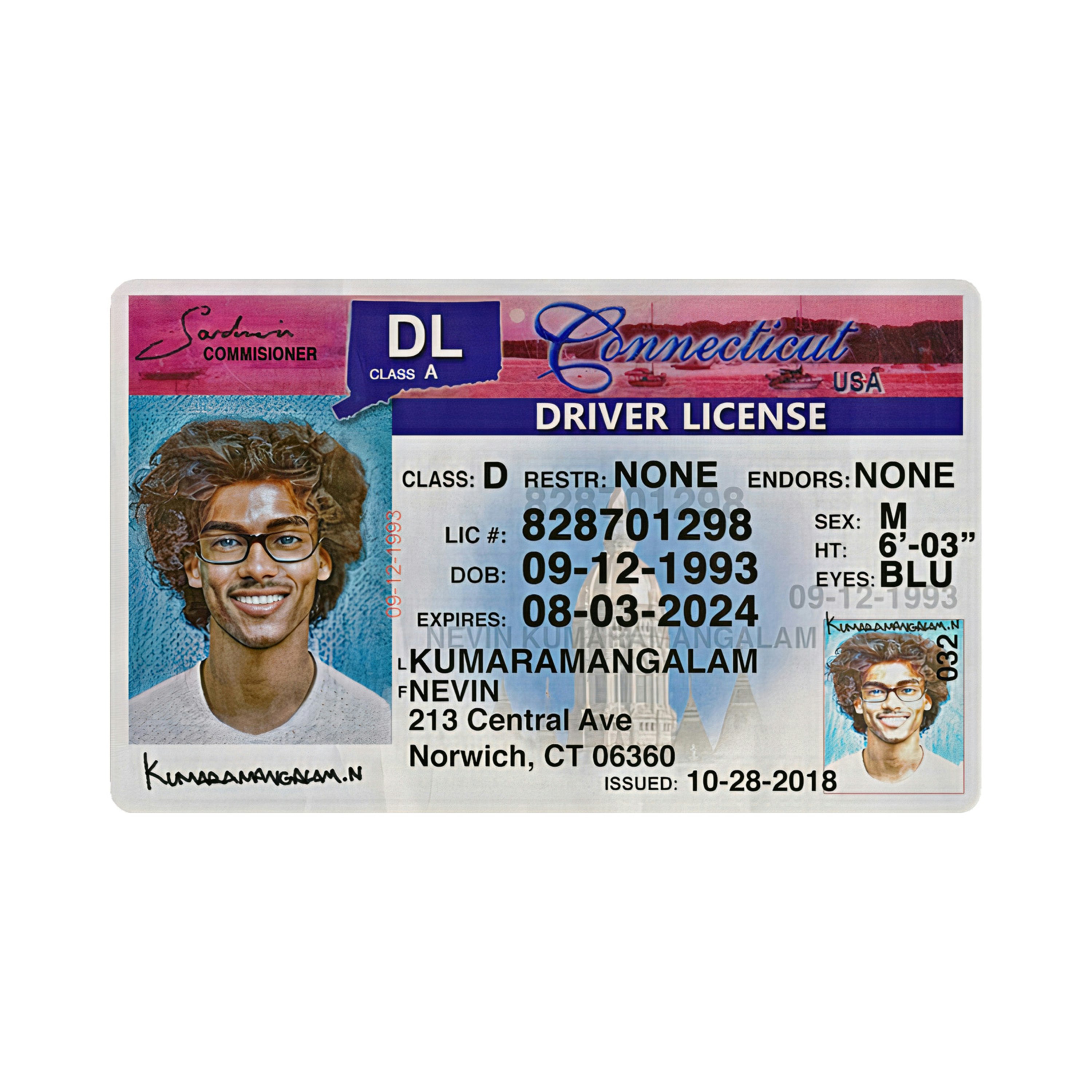 how to fake an id