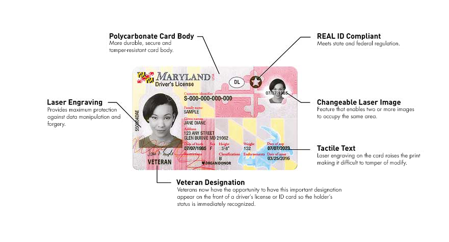 How To Make A Maryland Fake Id