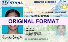 How To Make A Montana Scannable Fake Id