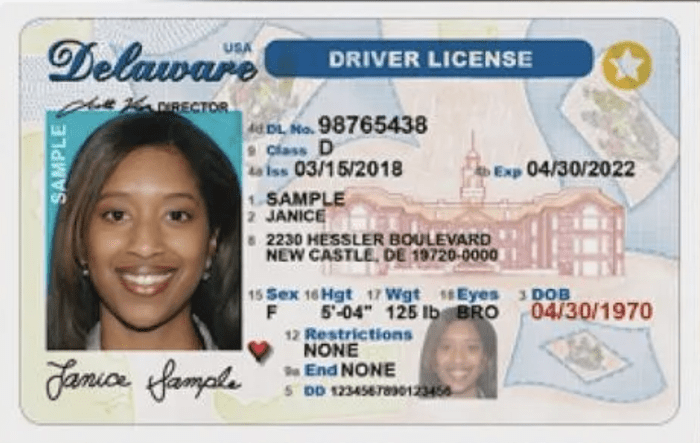 How To Make A Virginia Fake Id