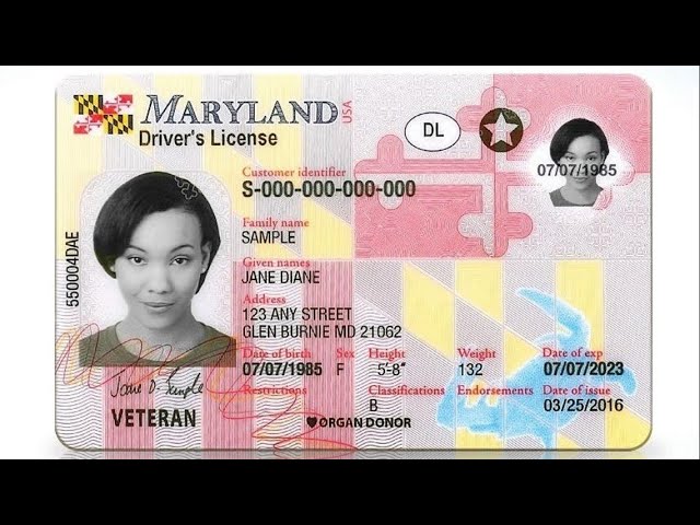 how to spot a fake maryland id