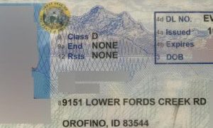 idaho fake id