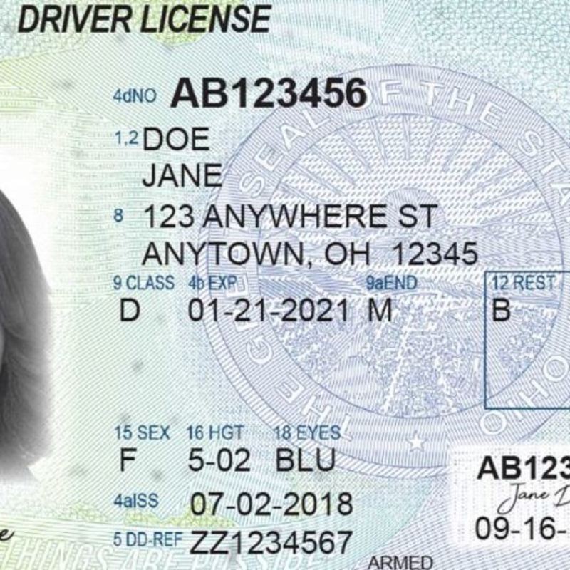 idaho fake id