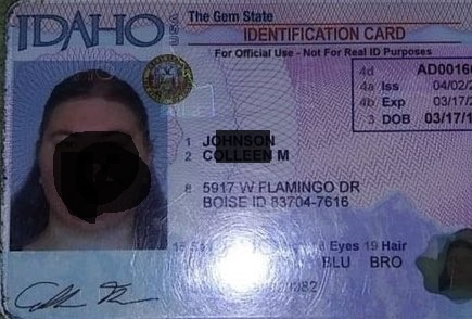 Idaho Scannable Fake Id Charges