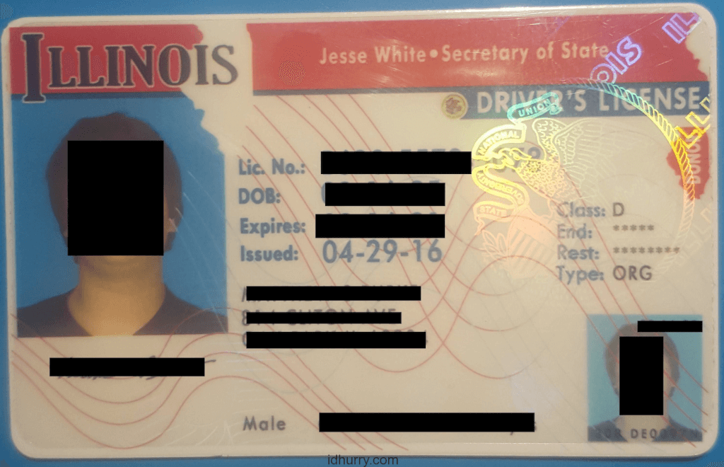 Illinois Fake Id Front And Back