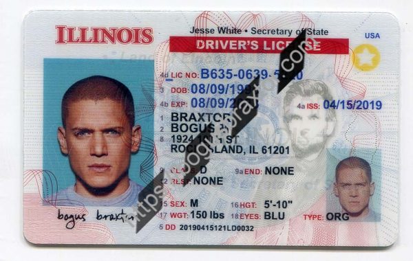 Illinois Fake Id Generator