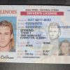 Illinois Fake Id Maker