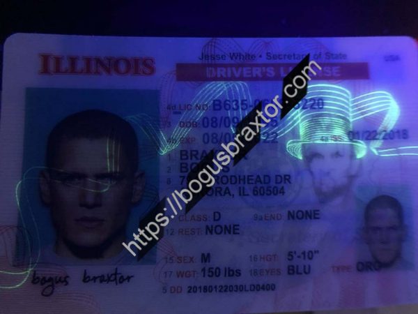 Illinois Fake Id Maker