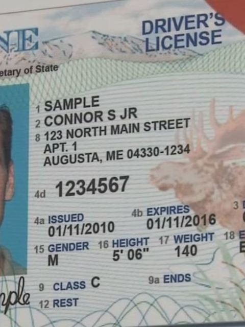 Maine Fake Id Website