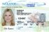 maine fake id