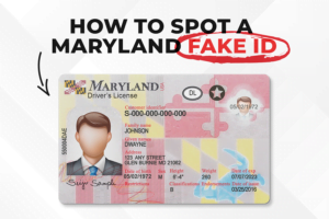 Maryland Fake Id Generator