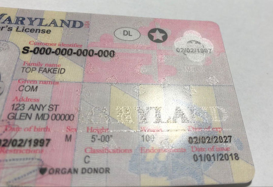 Maryland fake id