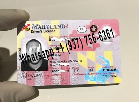 Maryland Scannable Fake Id Online