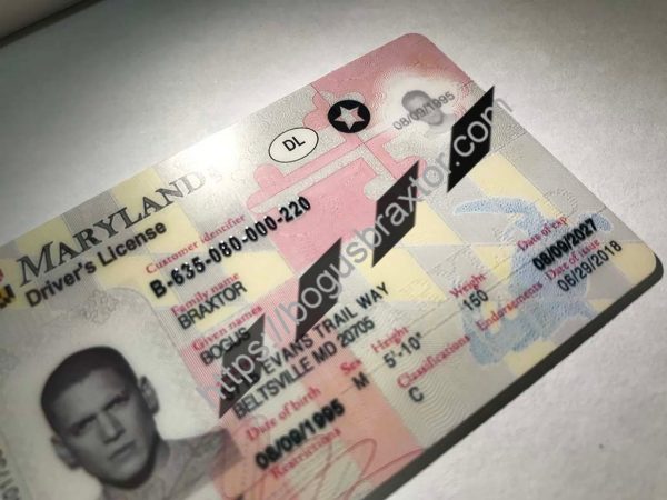 Maryland Scannable fake id