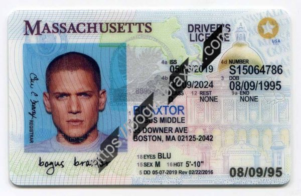 massachusetts fake id