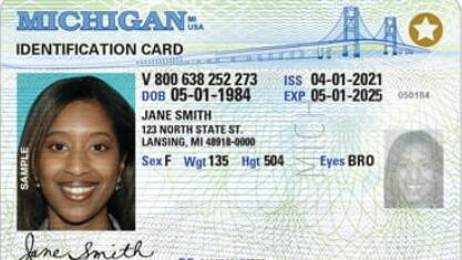 Michigan Fake Id Website