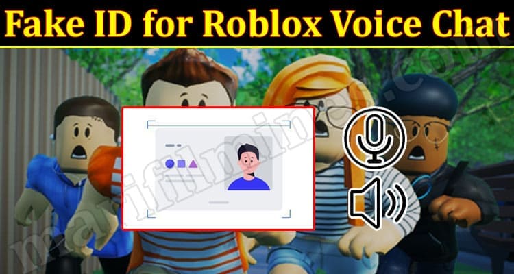 using a fake ID to get voice chat in roblox 