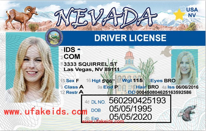 Nevada Fake Id Front And Back