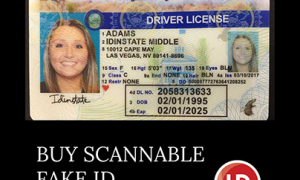 nevada fake id