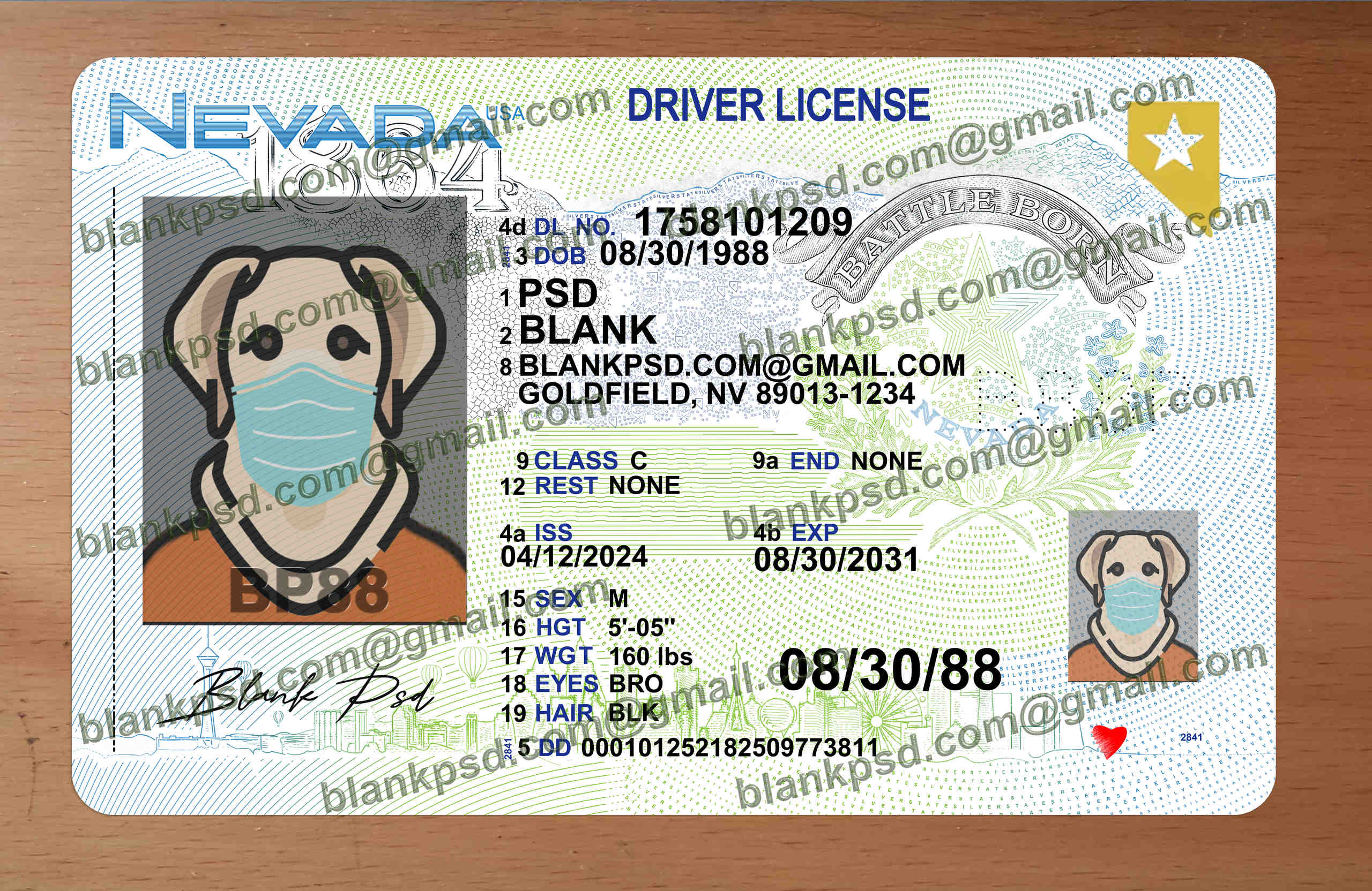 nevada fake id