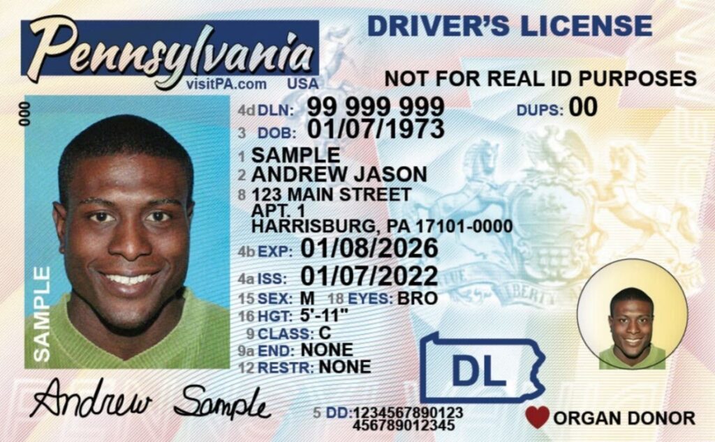 New Jersey Fake Id Roblox