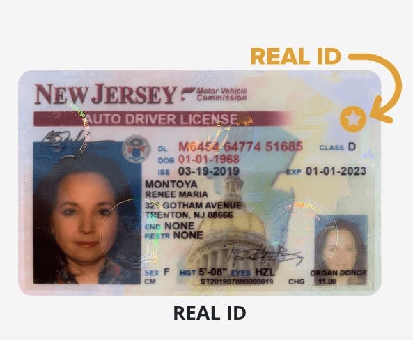 new jersey fake id vs real