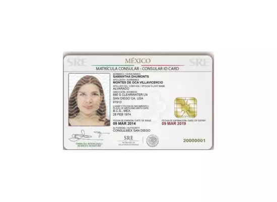 New Mexico Fake Id Online