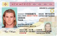 New Mexico Fake Id Online