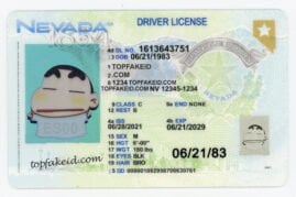 New Mexico Scannable fake id