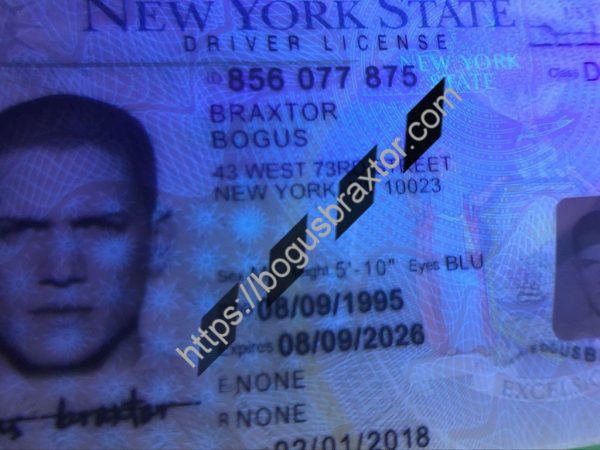 New York Scannable fake id