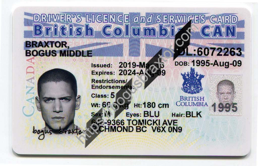 old ironside fake ids