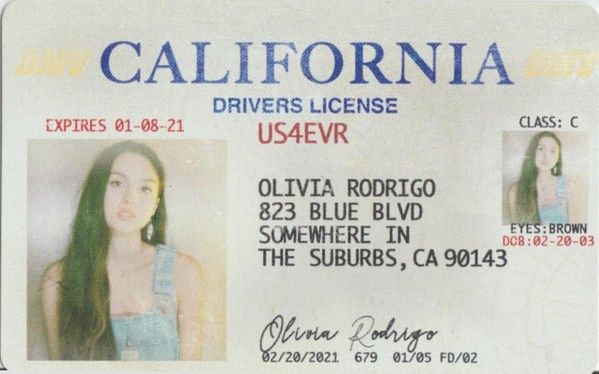 olivia rodrigo fake id