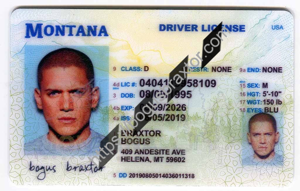 Order Montana Scannable Fake Id