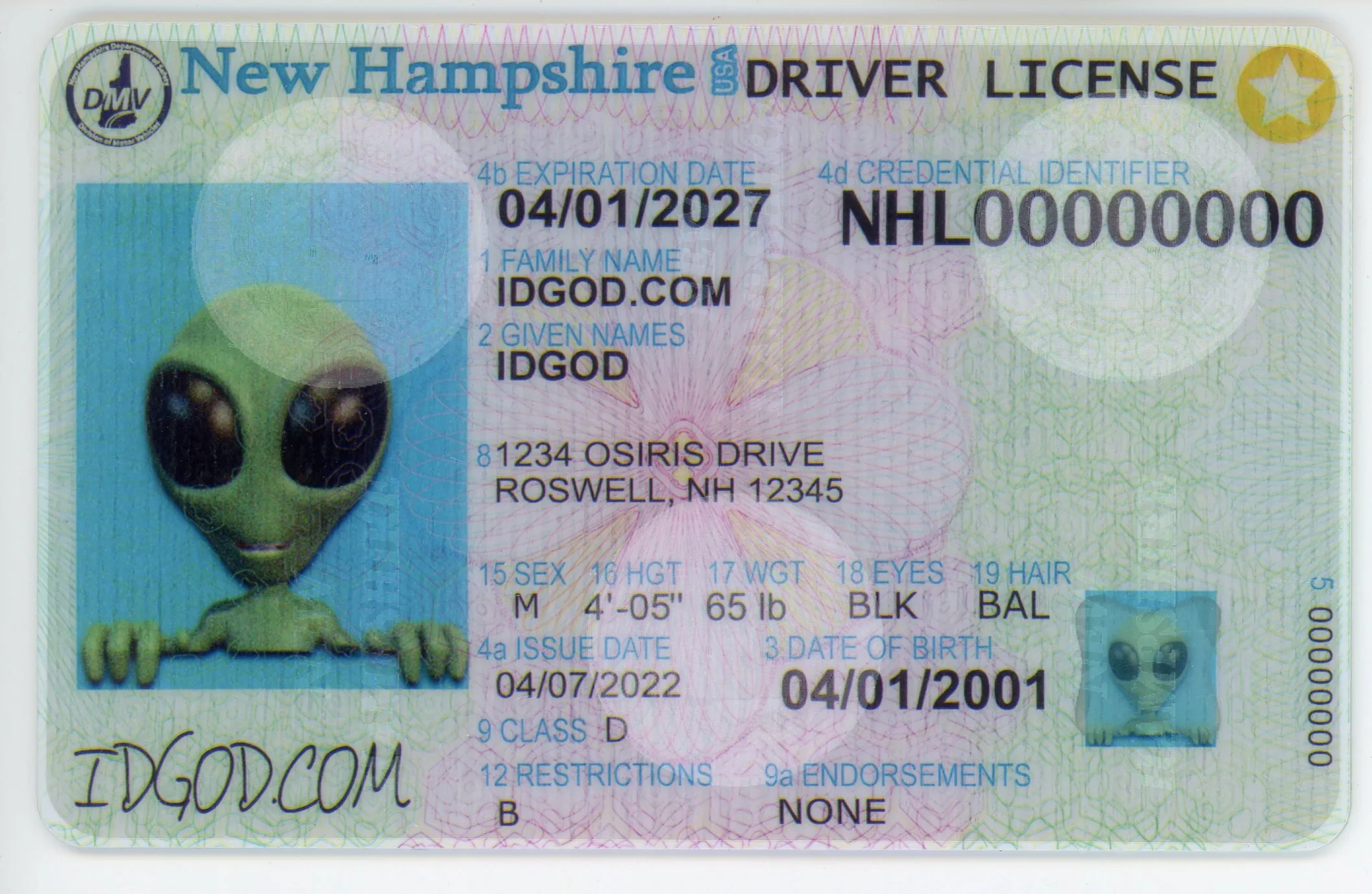 Order New Hampshire Fake Id