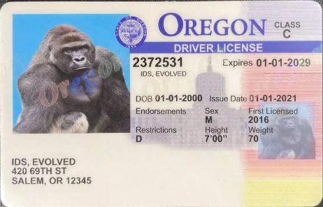 Order Oregon Fake Id