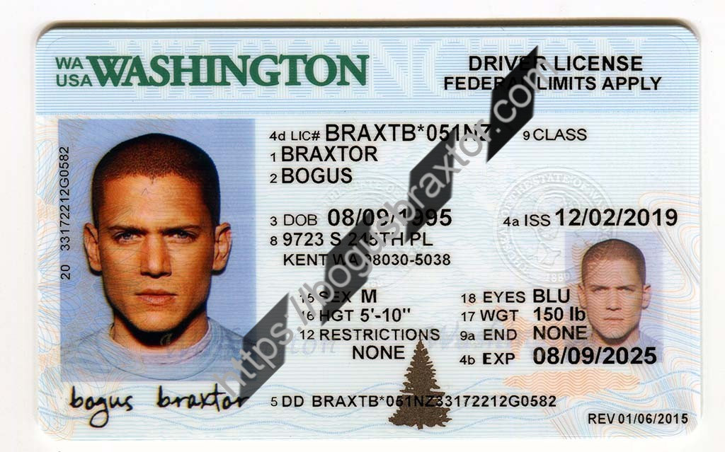 Order Washington Scannable Fake Id