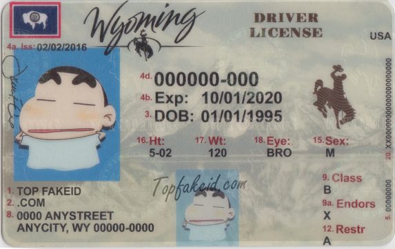 Order Wyoming Scannable Fake Id