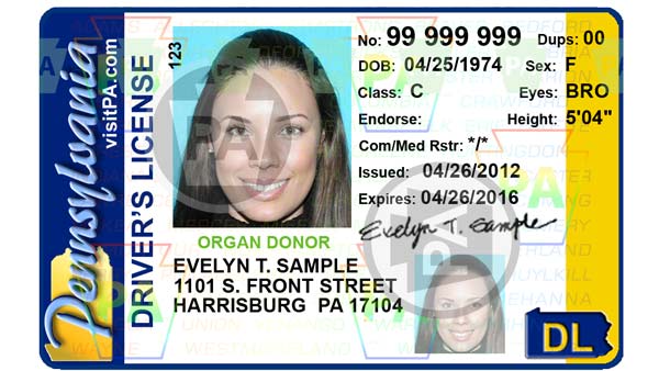 Pennsylvania Fake Id Charges