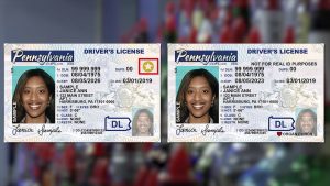 pennsylvania fake id