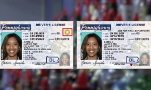 pennsylvania fake id