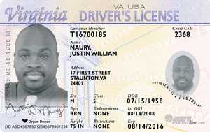 picture of fake id