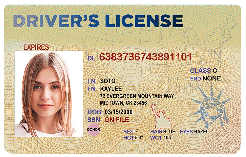 picture of fake id