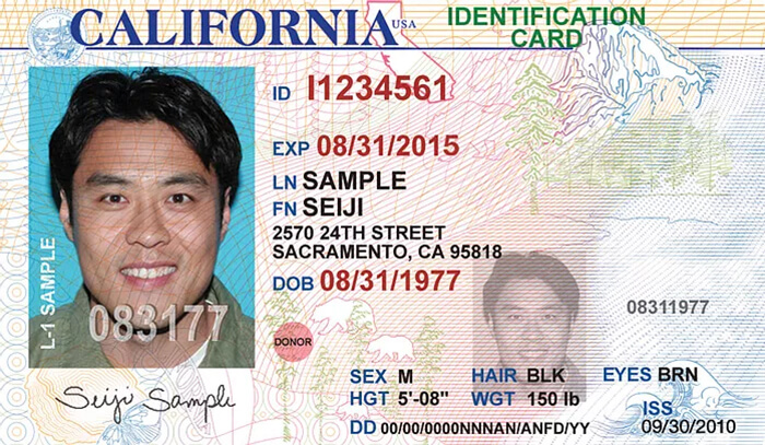 real fake id from dmv