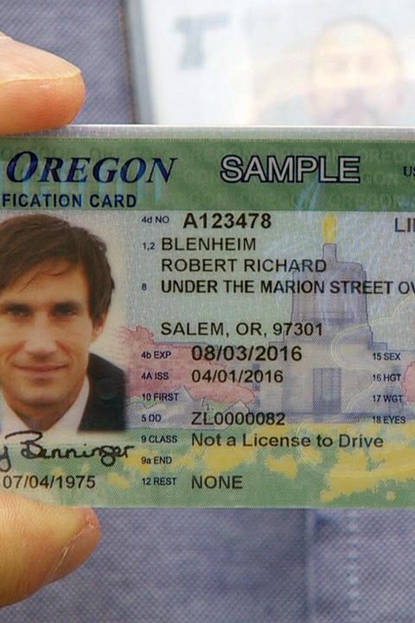 real fake id from dmv