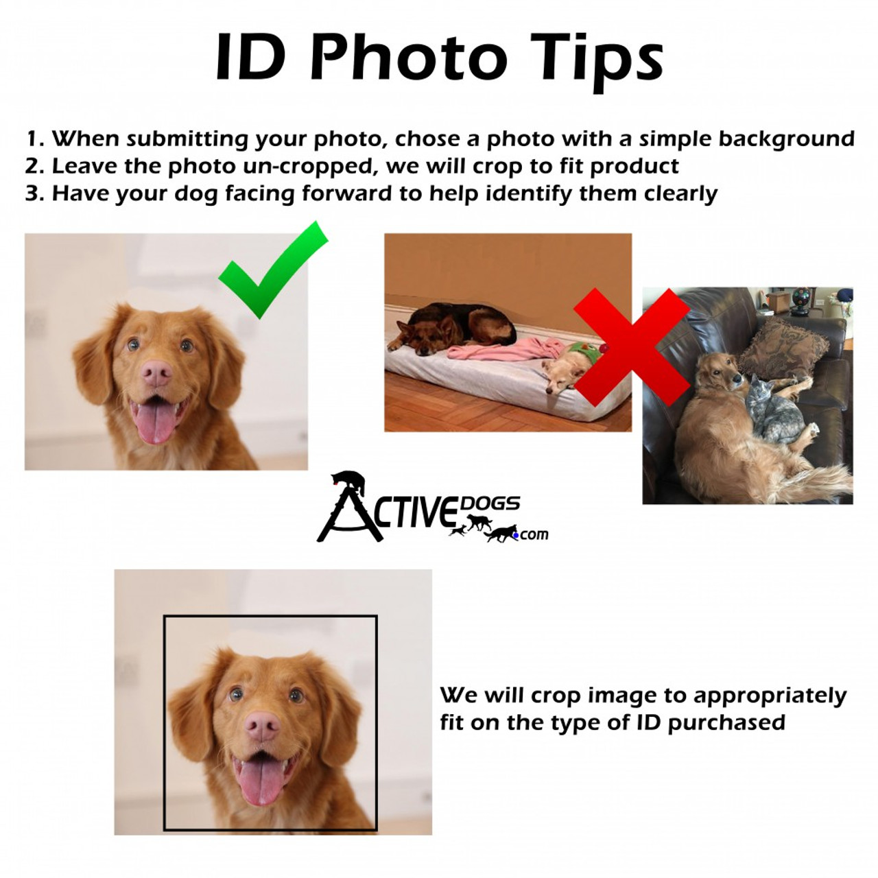 real service dog id card vs fake