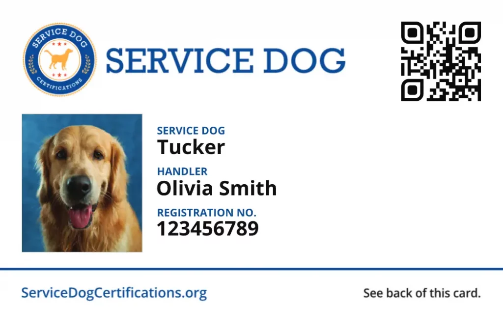 real service dog id card vs fake